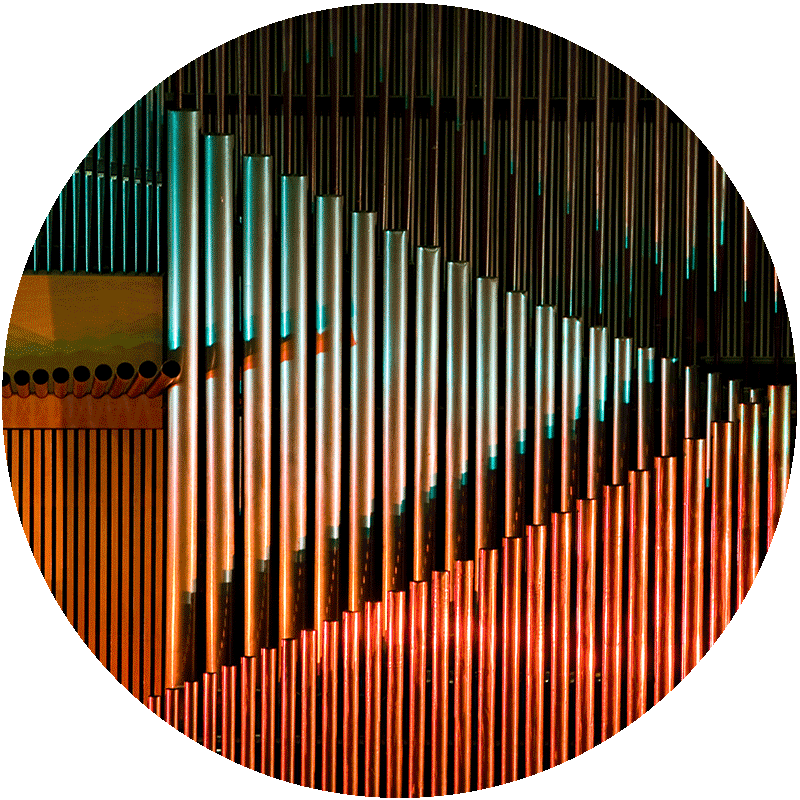 organ-pipes